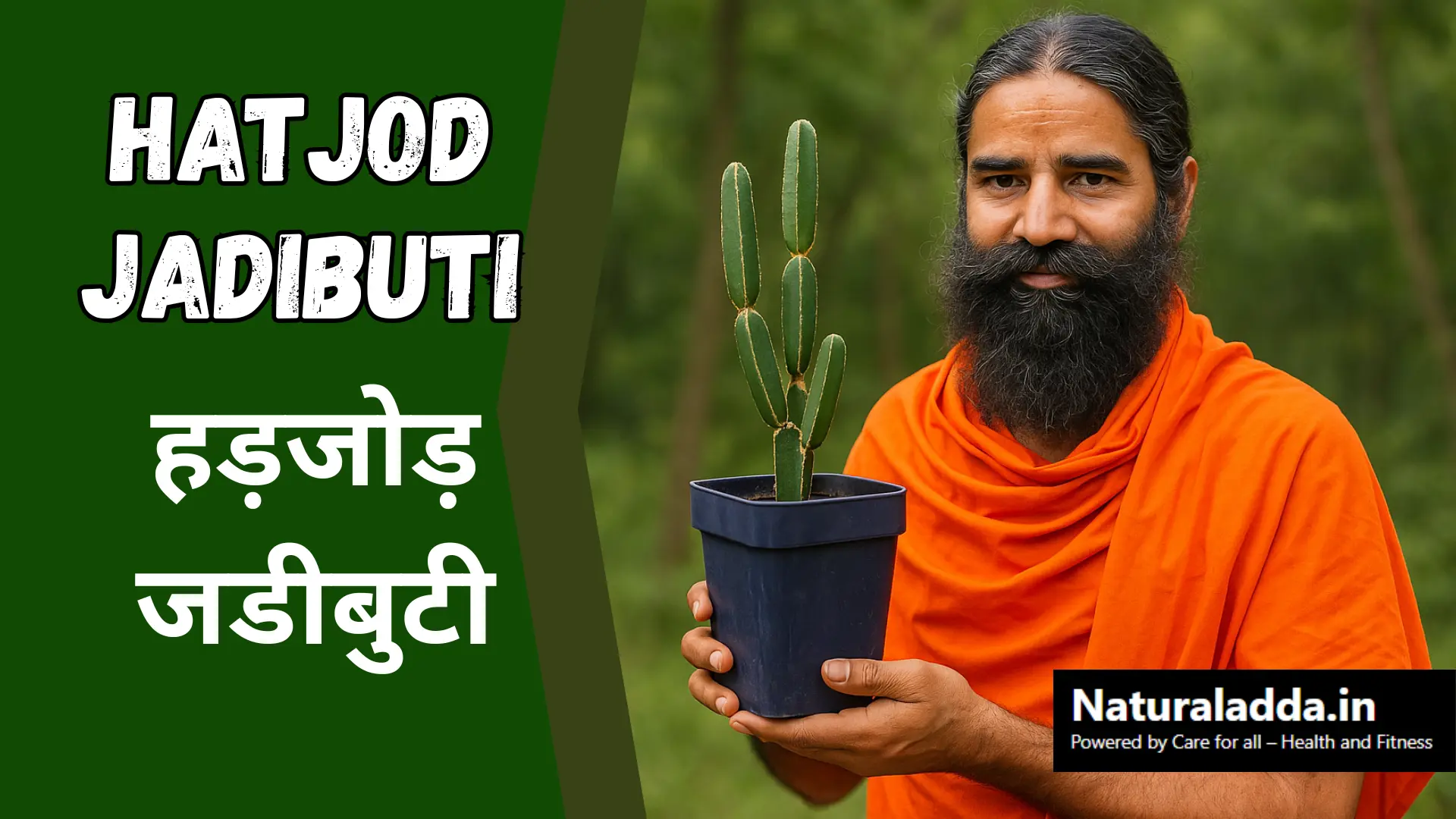 गुरु का संदेश: हड्डियों, जोड़ो और तन-मन को ठीक करने वाली अद्भुत देन — हड़जोड़