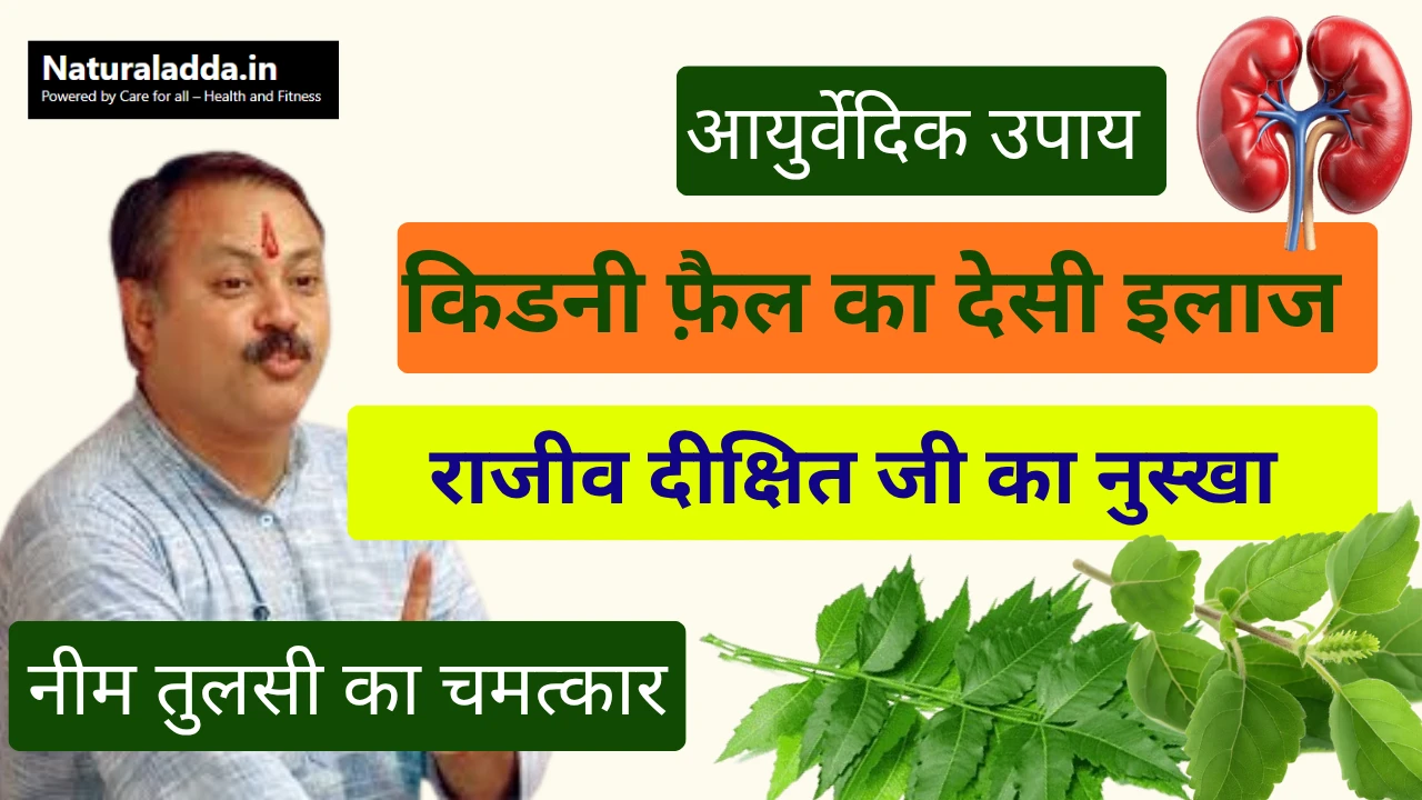 राजीव दीक्षित जी के अनुसार किडनी फेल्योर का देसी इलाज — नीम और तुलसी का रस